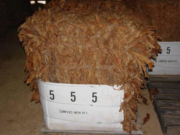 Large Bale Tobacco